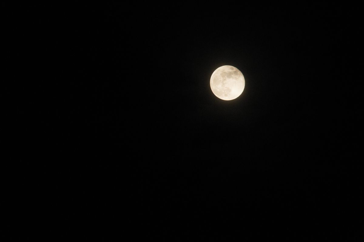 A bright full moon glowing in a dark sky, reflected sunlight in nature