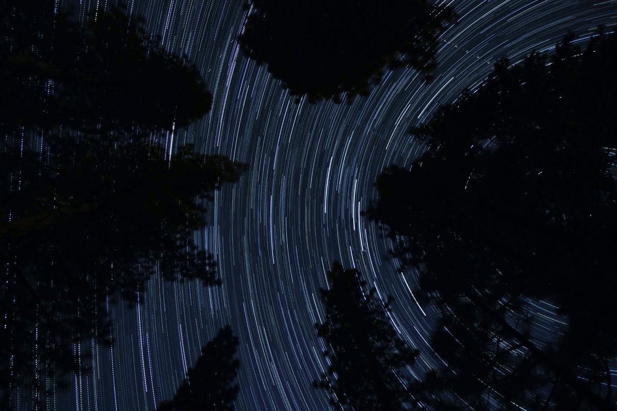 Star trails over a dark forest, one of many fun facts about light from distant stars
